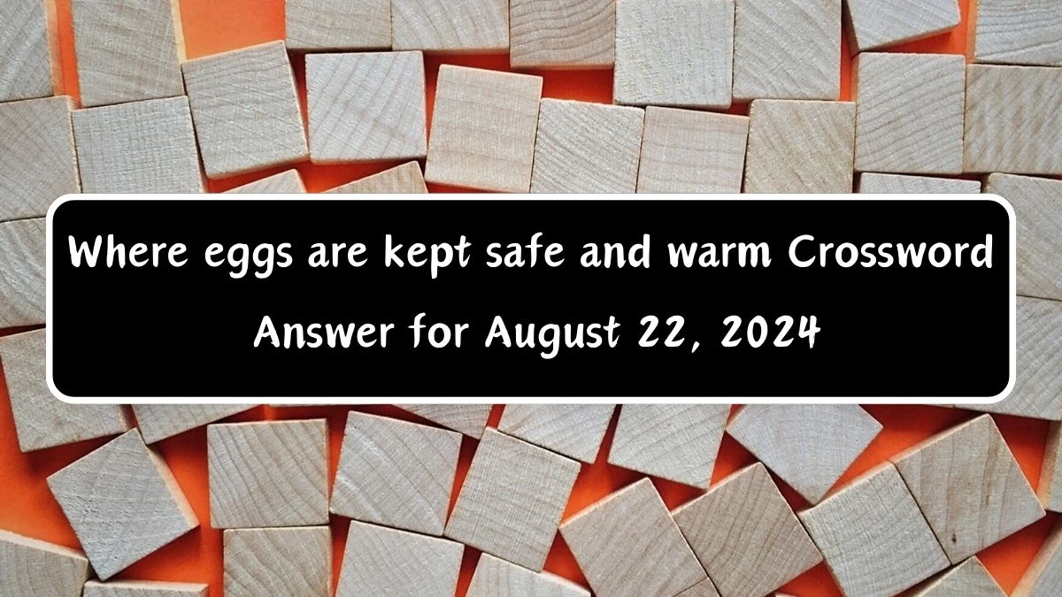 Where eggs are kept safe and warm Daily Themed Crossword Clue Puzzle Answer from August 22, 2024