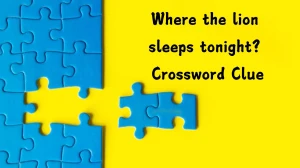 Where the lion sleeps tonight? Daily Themed Crossword Clue Puzzle Answer from August 02, 2024