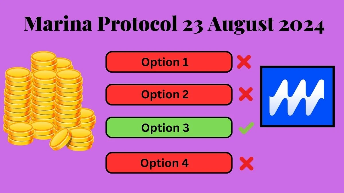 Which of The Following is a Privacy- Focused Cryptocurrency? Marina Protocol 23 August 2024