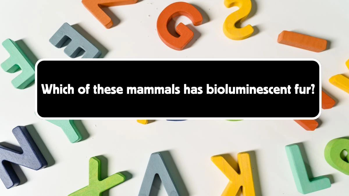 Which of these mammals has bioluminescent fur? Answer Revealed