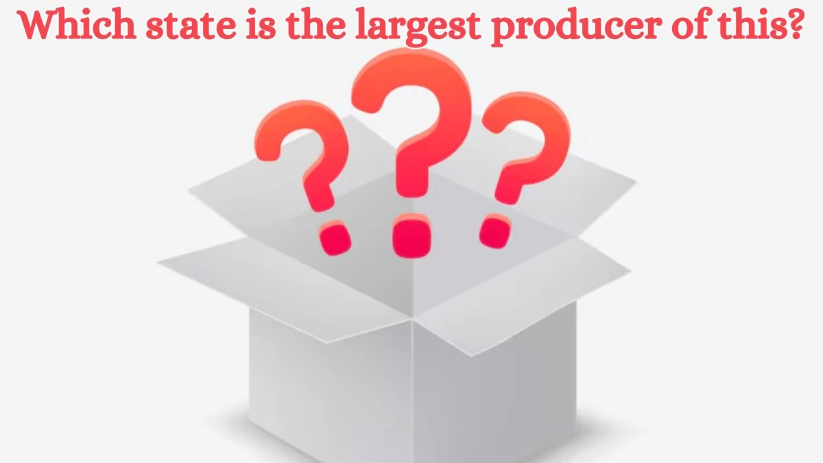 Which state is the largest producer of this? Amazon Quiz Answer Today August 28, 2024