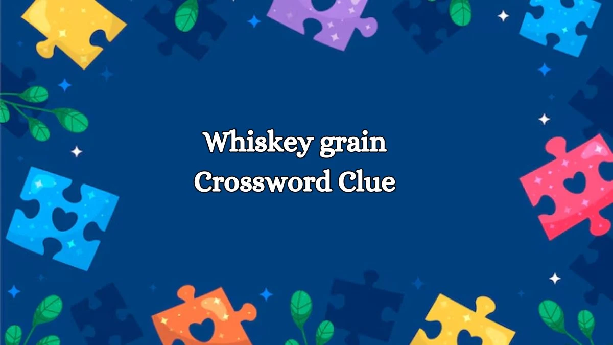 Whiskey grain Daily Themed Crossword Clue Puzzle Answer from August 14, 2024