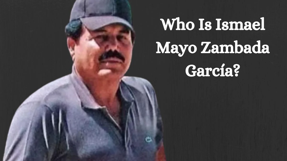 Who Is Ismael Mayo Zambada García? An In Depth Look at the Notorious Figure