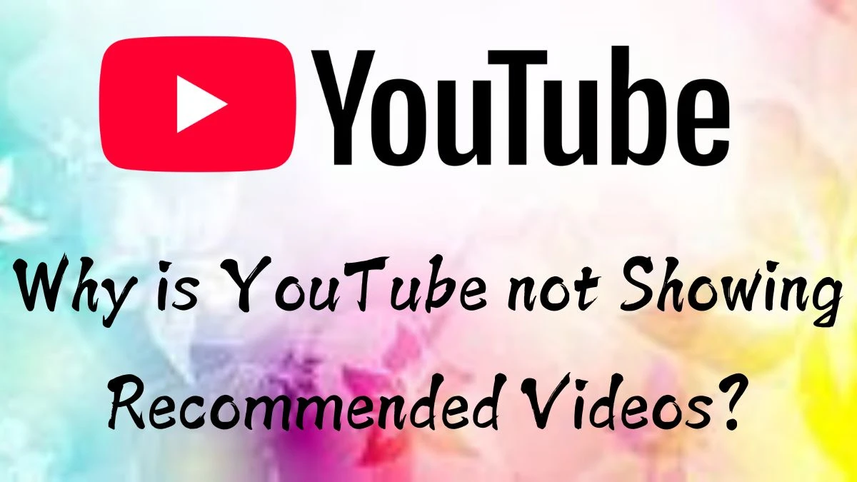 Why is YouTube not Showing Recommended Videos? How to Disable YouTube Watch History?