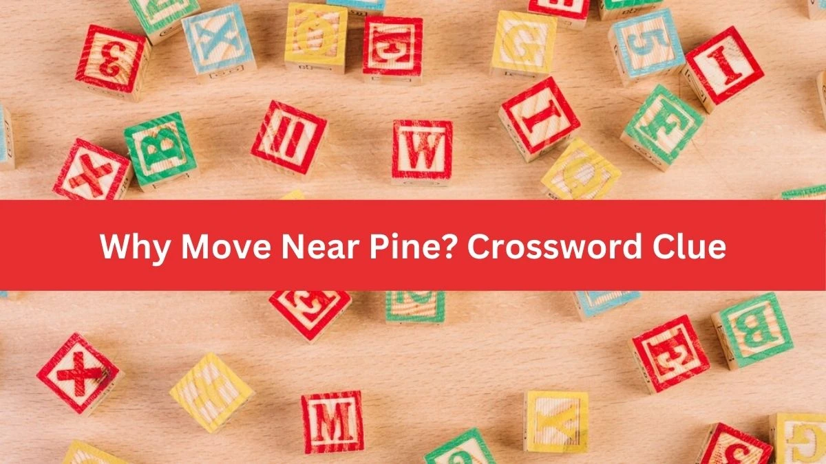 Why Move Near Pine? Crossword Clue Puzzle Answer from August 13, 2024