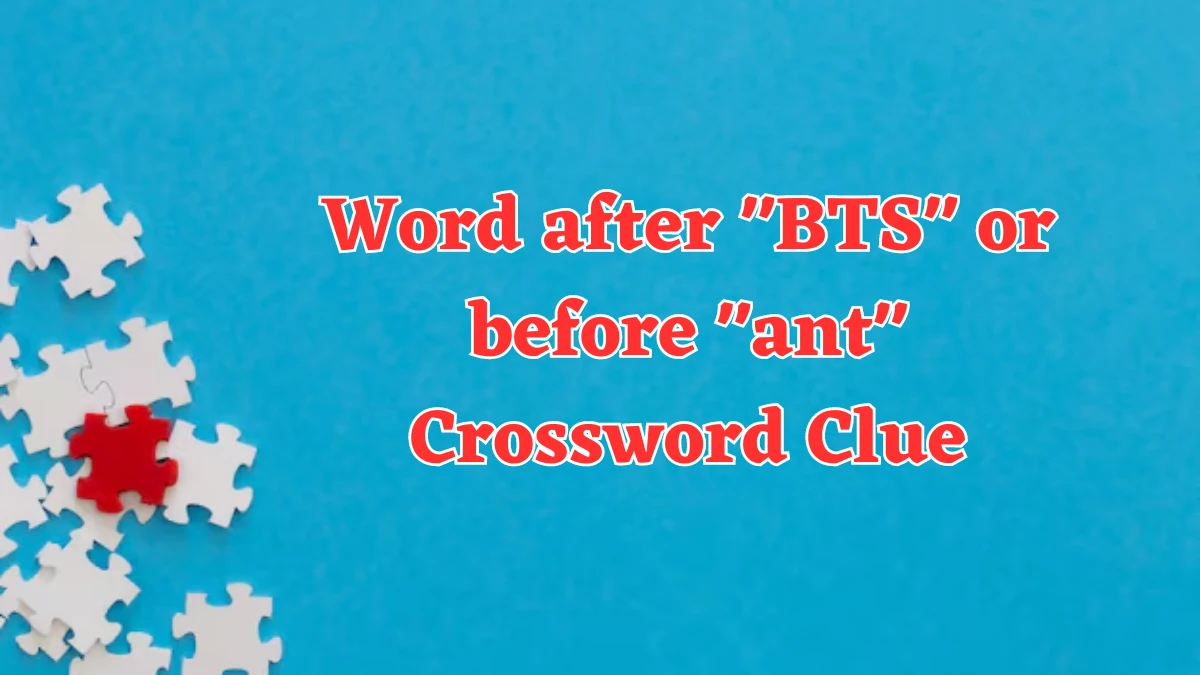 USA Today Word after BTS or before ant Crossword Clue Puzzle Answer from August 03, 2024