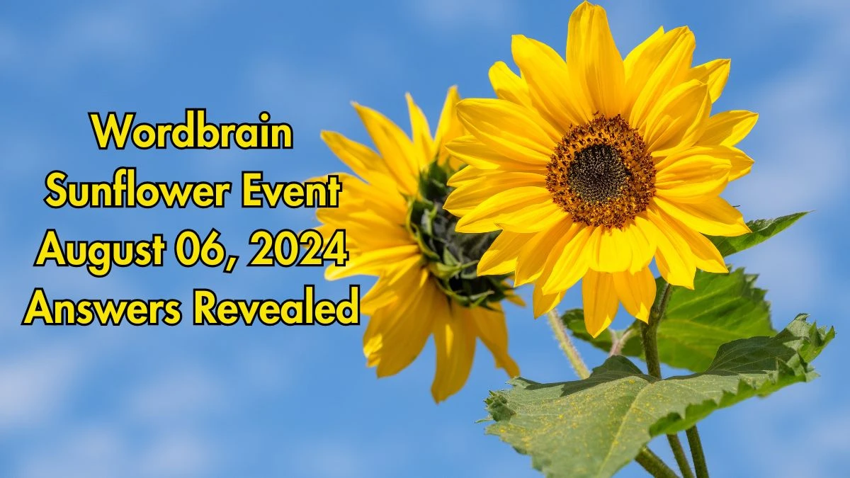 Wordbrain Sunflower Event August 06, 2024 Answers Revealed