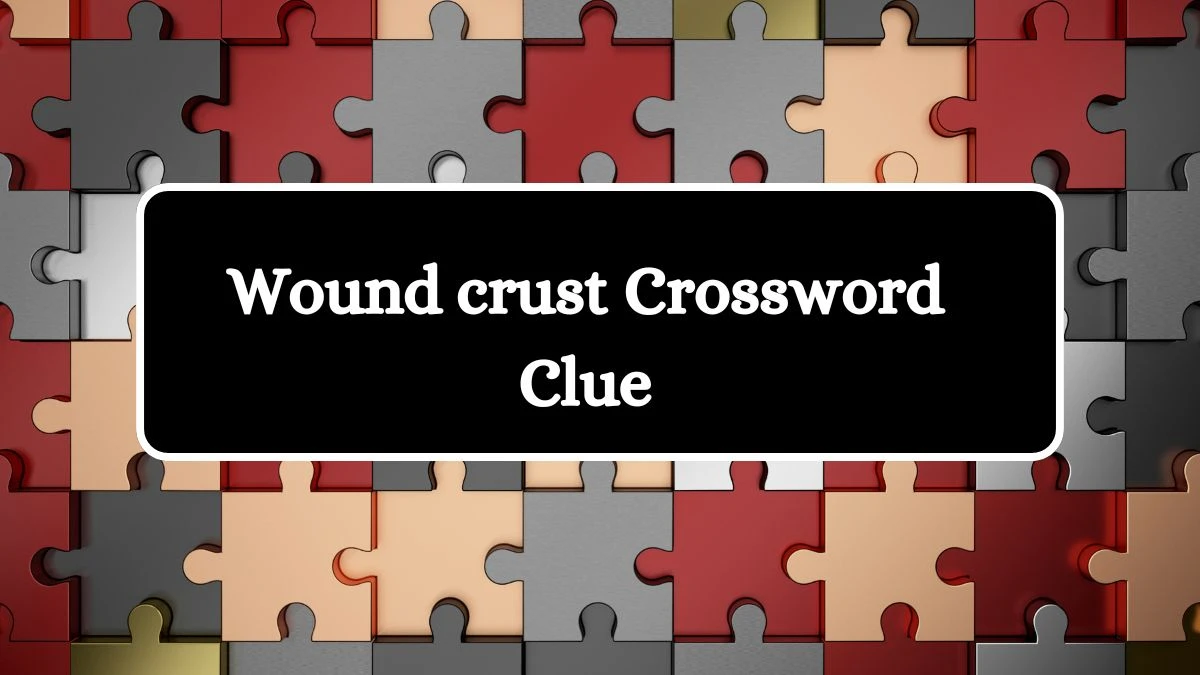 Wound crust Daily Themed Crossword Clue 4 letters Puzzle Answer from August 14, 2024