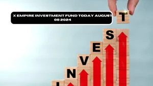 X Empire Investment Fund Today August 08 2024 - A Perfect Answer Guide!