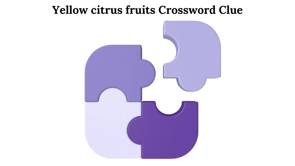 USA Today Yellow citrus fruits Crossword Clue Puzzle Answer from August 02, 2024