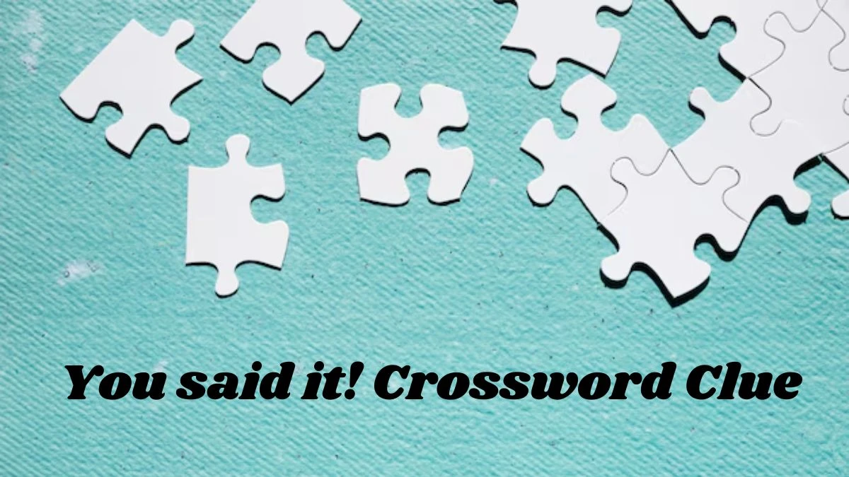 USA Today You said it! Crossword Clue Puzzle Answer from August 01, 2024