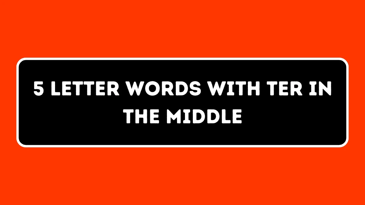 5 Letter Words with TER in the Middle All Words List