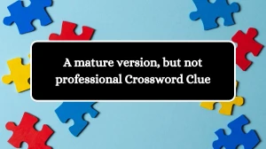 A mature version, but not professional Crossword Clue Answers on September 14, 2024