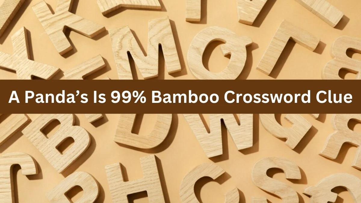 NYT A Panda’s Is 99% Bamboo Crossword Clue Puzzle Answer from September 30, 2024