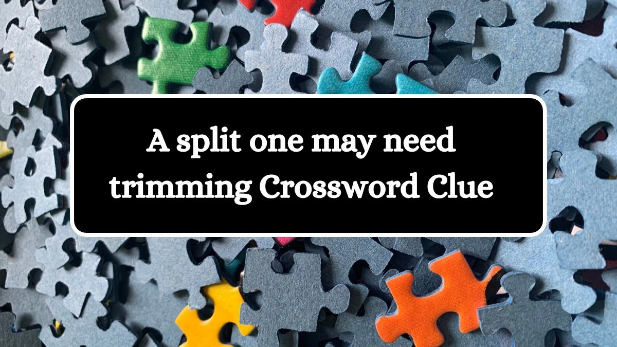 NYT A split one may need trimming Crossword Clue Puzzle Answer from September 06, 2024