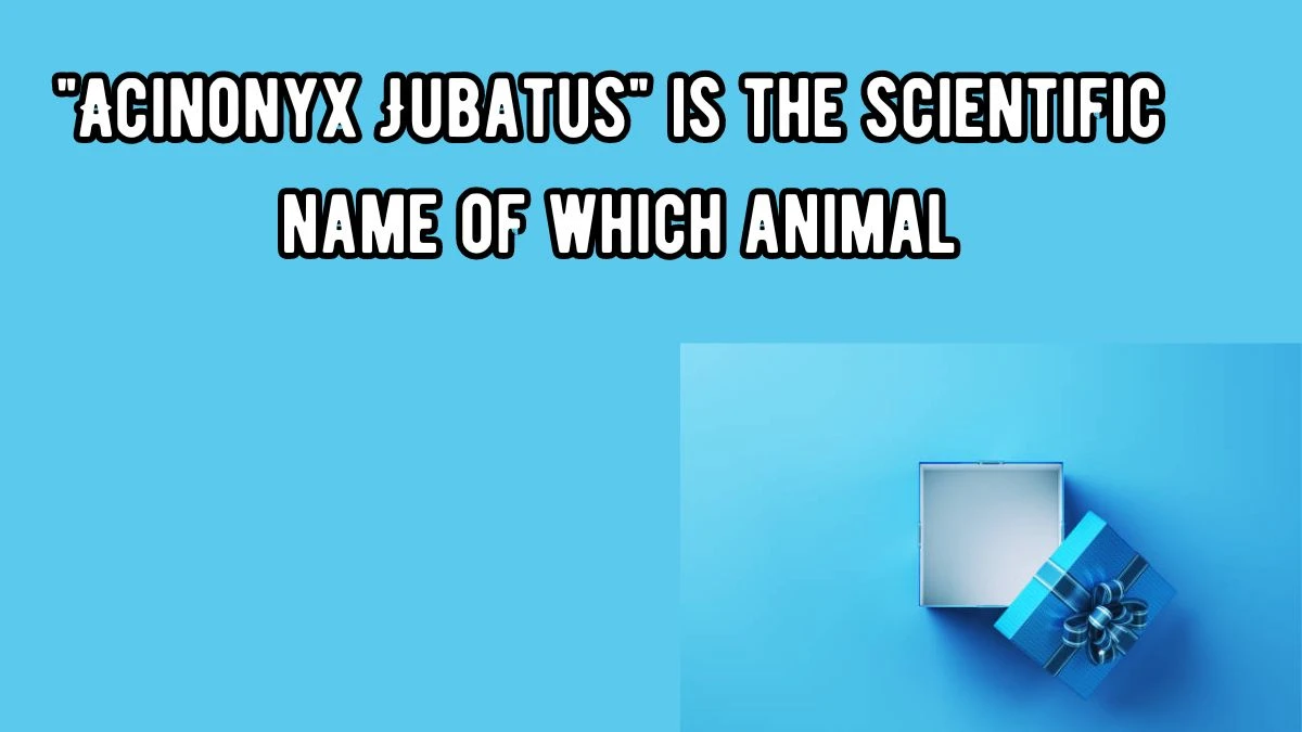 Acinonyx Jubatus is the scientific name of which animal? Amazon Quiz Answer Today September 18, 2024