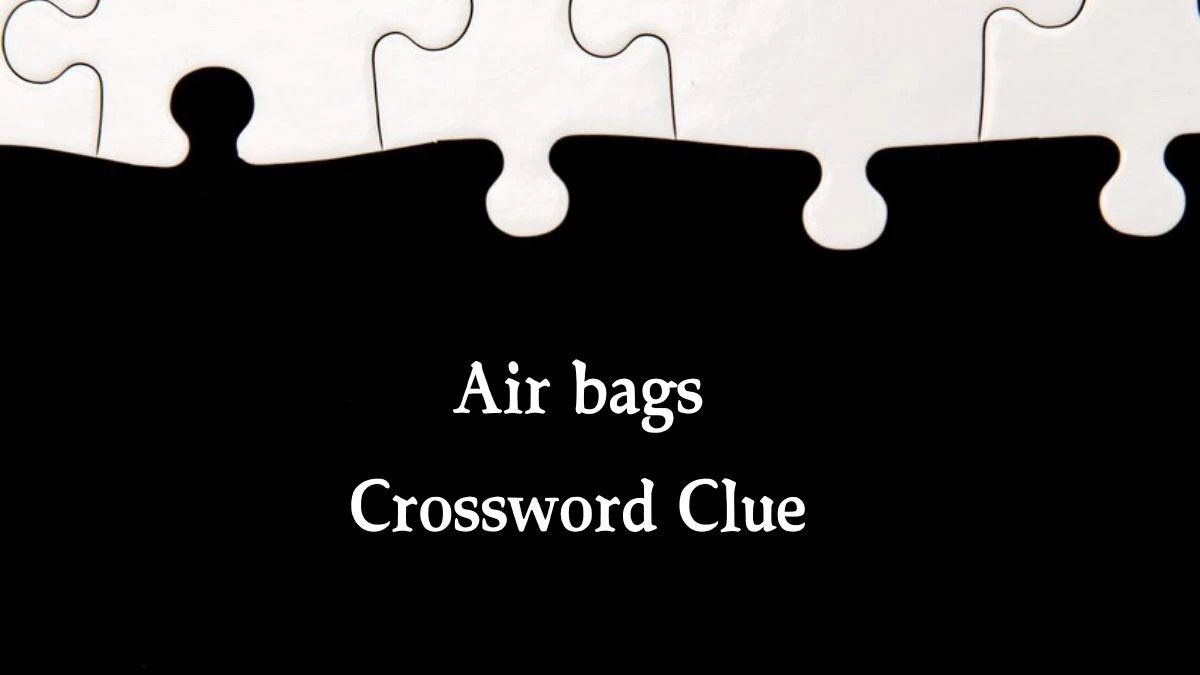 Air bags 7 Little Words Puzzle Answer from September 30, 2024