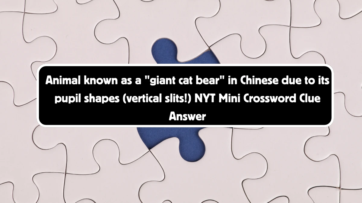 Animal known as a giant cat bear in Chinese due to its pupil shapes (vertical slits!) NYT Crossword Clue Puzzle Answer from September 05, 2024