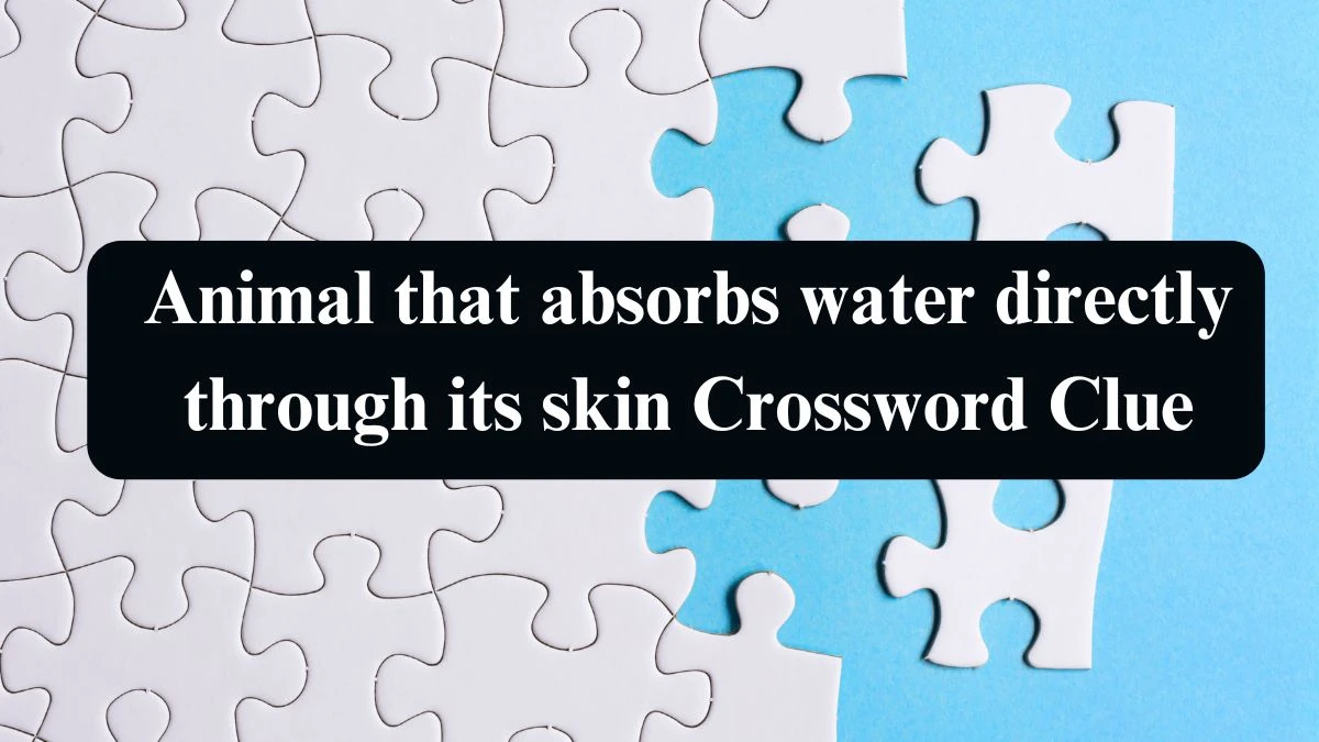 NYT Animal that absorbs water directly through its skin (4) Crossword Clue Puzzle Answer from September 10, 2024