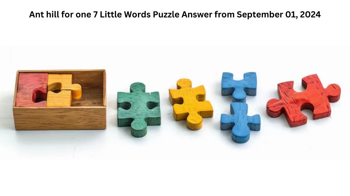 Ant hill for one 7 Little Words Puzzle Answer from September 01, 2024