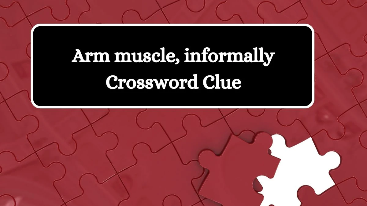 NYT Arm muscle, informally Crossword Clue Puzzle Answer from September 28, 2024