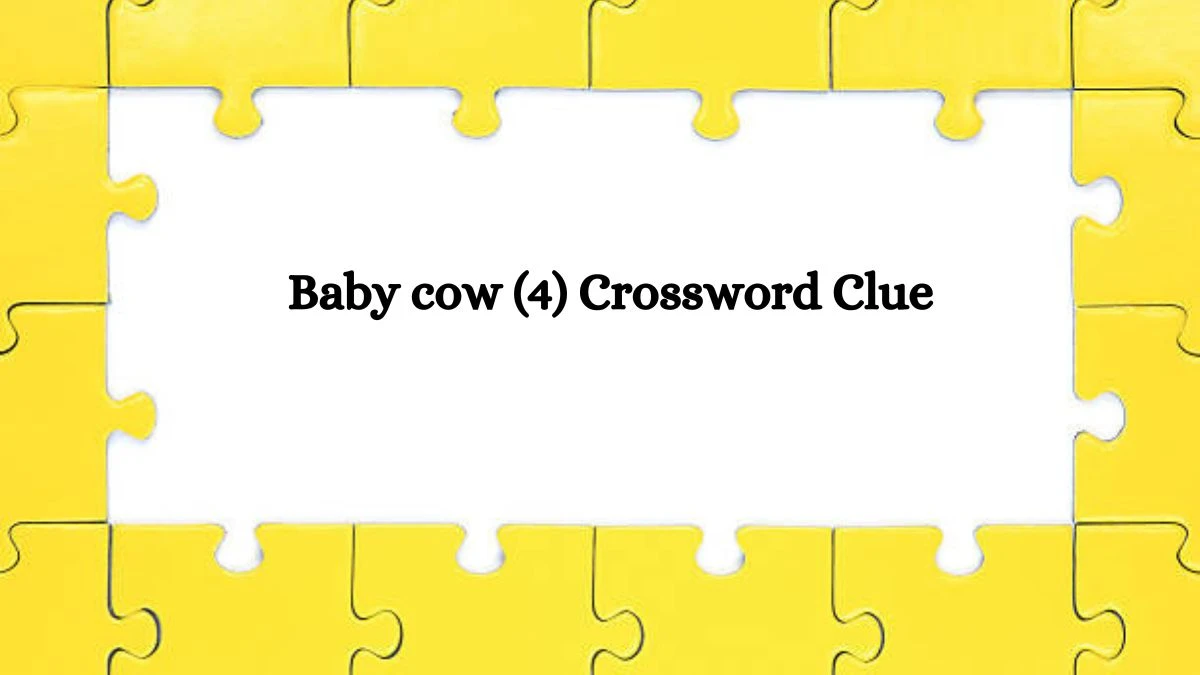 NYT Baby cow (4) Crossword Clue Puzzle Answer from September 30, 2024