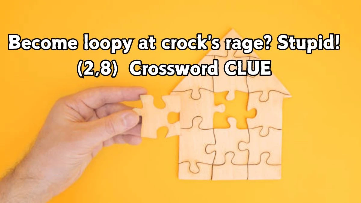 Become loopy at crock's rage? Stupid! (2,8) Crossword Clue Puzzle Answer from September 05, 2024