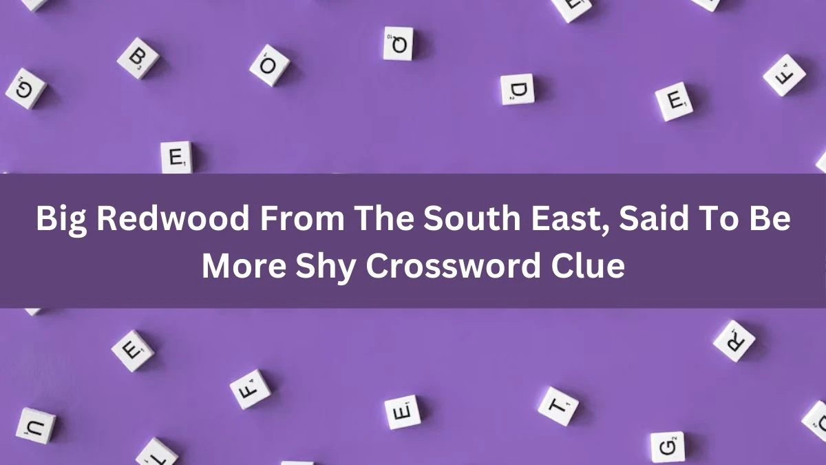 Big Redwood From The South East, Said To Be More Shy Crossword Clue Answers on September 18, 2024