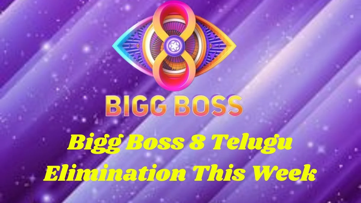 Bigg Boss 8 Telugu Elimination this Week Which Contestant is in Danger Zone?