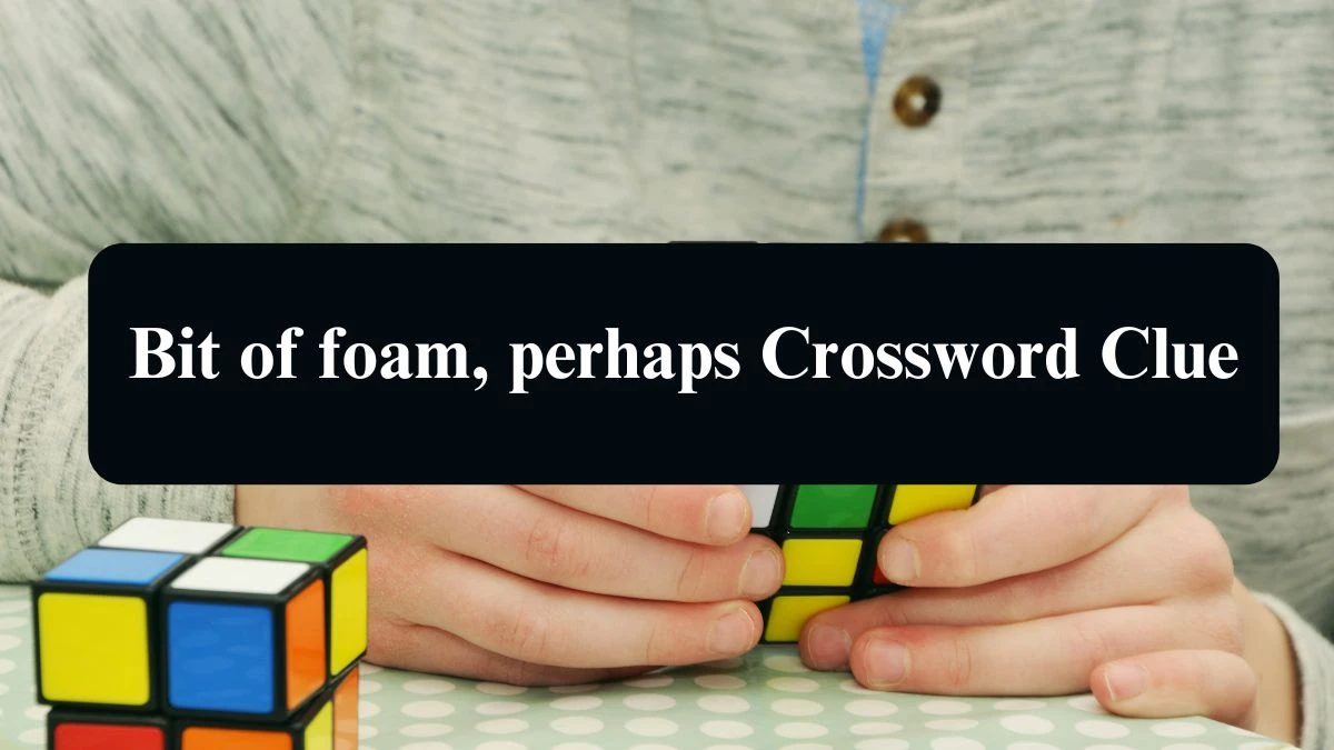 NYT Bit of foam, perhaps Crossword Clue Puzzle Answer from September 13, 2024