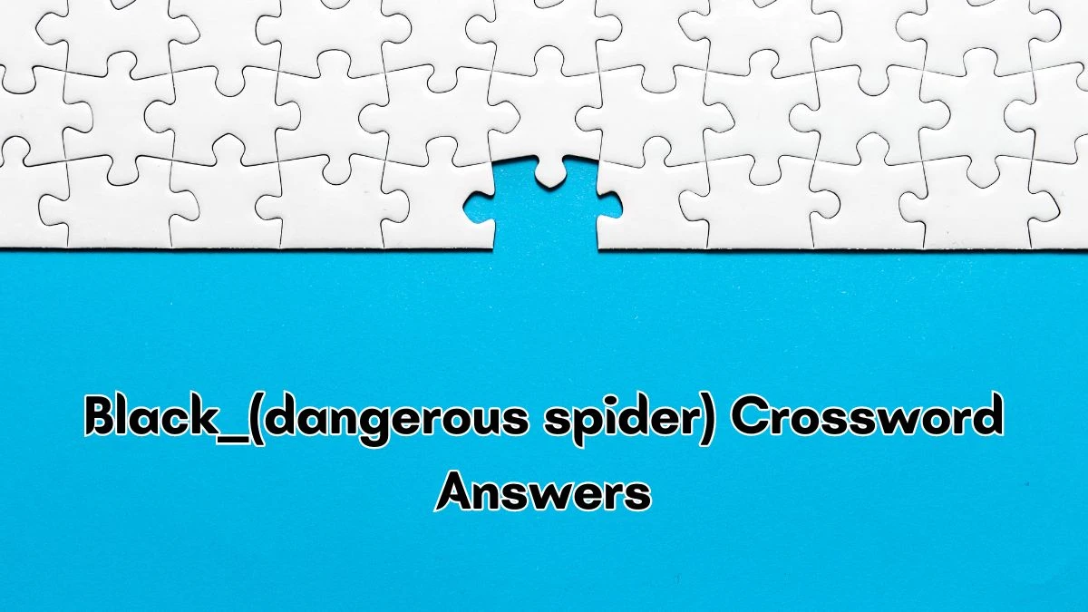 Black ___ (dangerous spider) NYT Crossword Clue Puzzle Answer from September 13, 2024