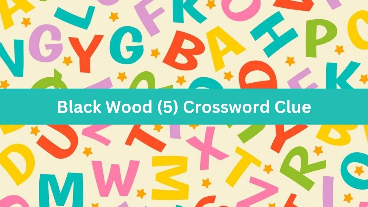 NYT Black Wood (5) Crossword Clue Puzzle Answer from September 02, 2024