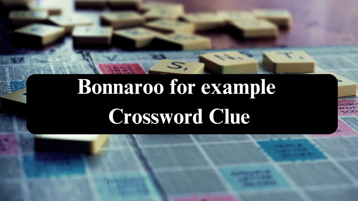 Bonnaroo for example 7 Little Words Puzzle Answer from September 17, 2024