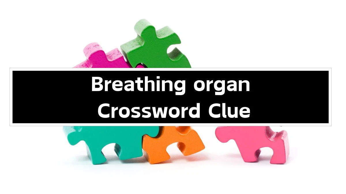 Breathing organ Irish Daily Mail Quick Crossword Clue Puzzle Answer from September 24, 2024