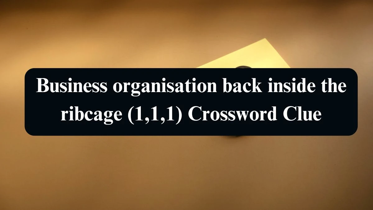 Business organisation back inside the ribcage (1,1,1) Crossword Clue Puzzle Answer from September 12, 2024