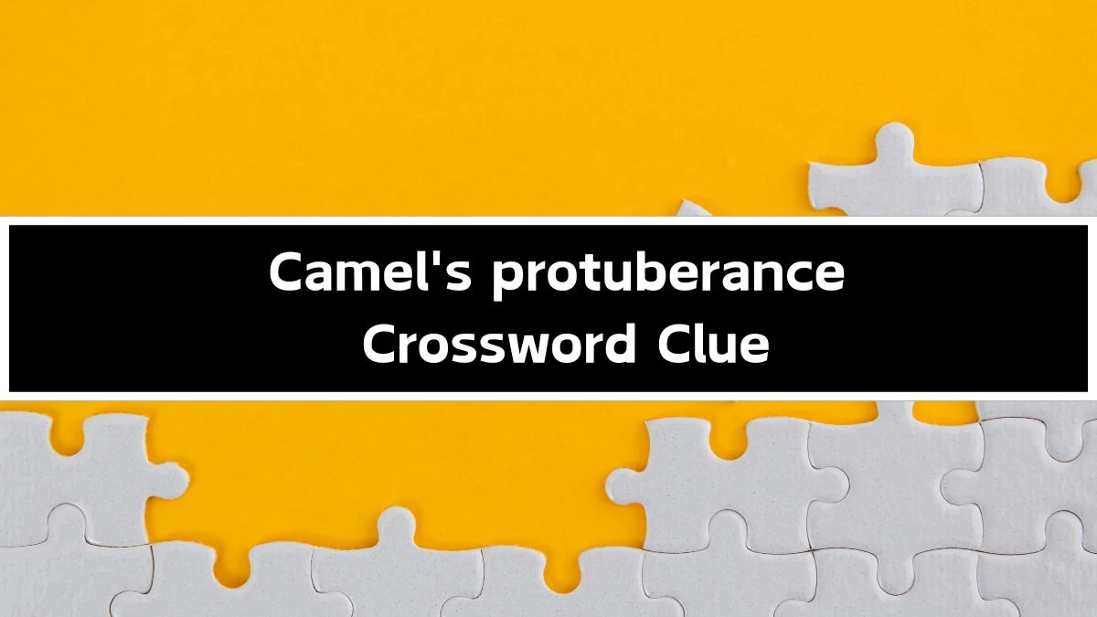 Irish Daily Mail Quick Camel's protuberance Crossword Clue Puzzle Answer from September 20, 2024