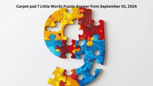 Carpet pad 7 Little Words Puzzle Answers from September 01, 2024