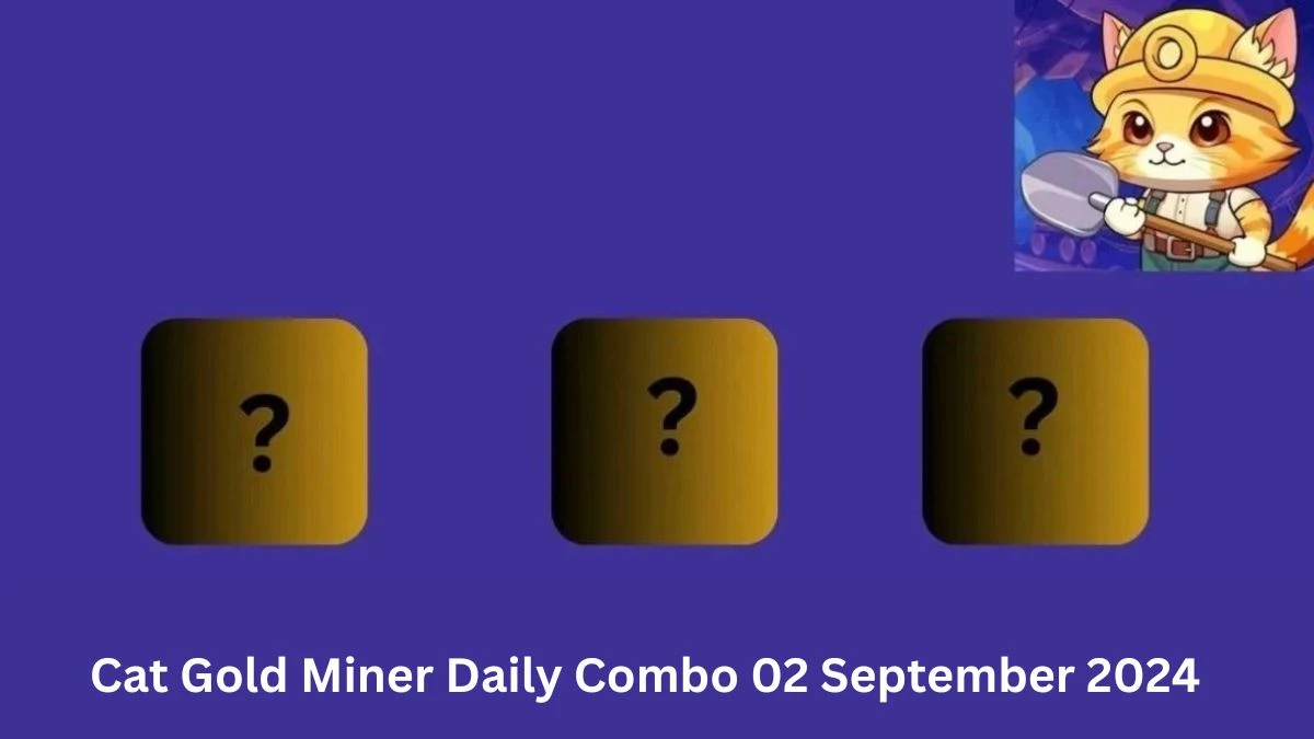 Cat Gold Miner Daily Combo 02 September 2024