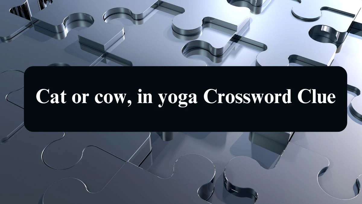 Cat or cow, in yoga NYT Crossword Clue