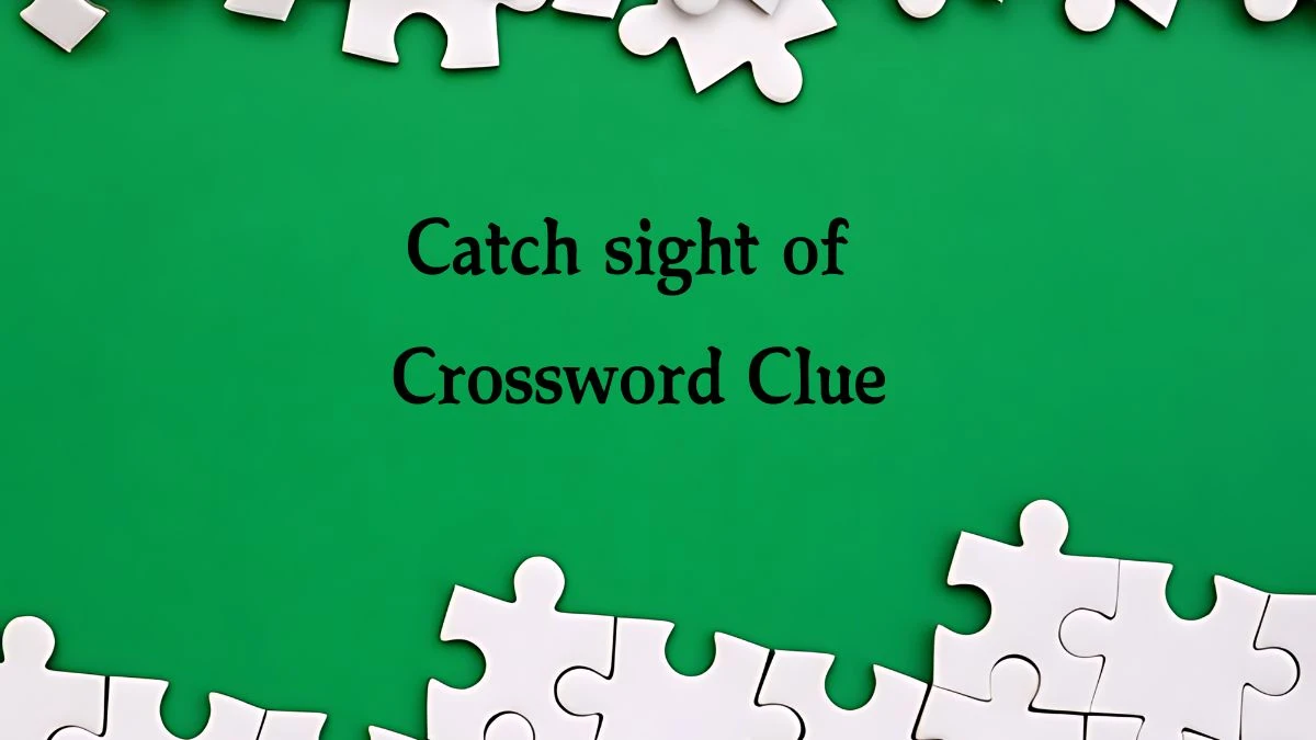 Irish Daily Mail Quick Catch sight of Crossword Clue Puzzle Answer from September 13, 2024