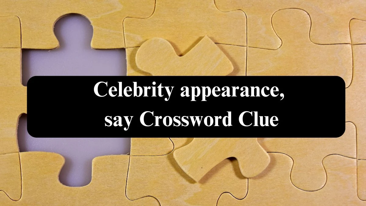 Celebrity appearance, say NYT Crossword Clue Puzzle Answer from September 17, 2024