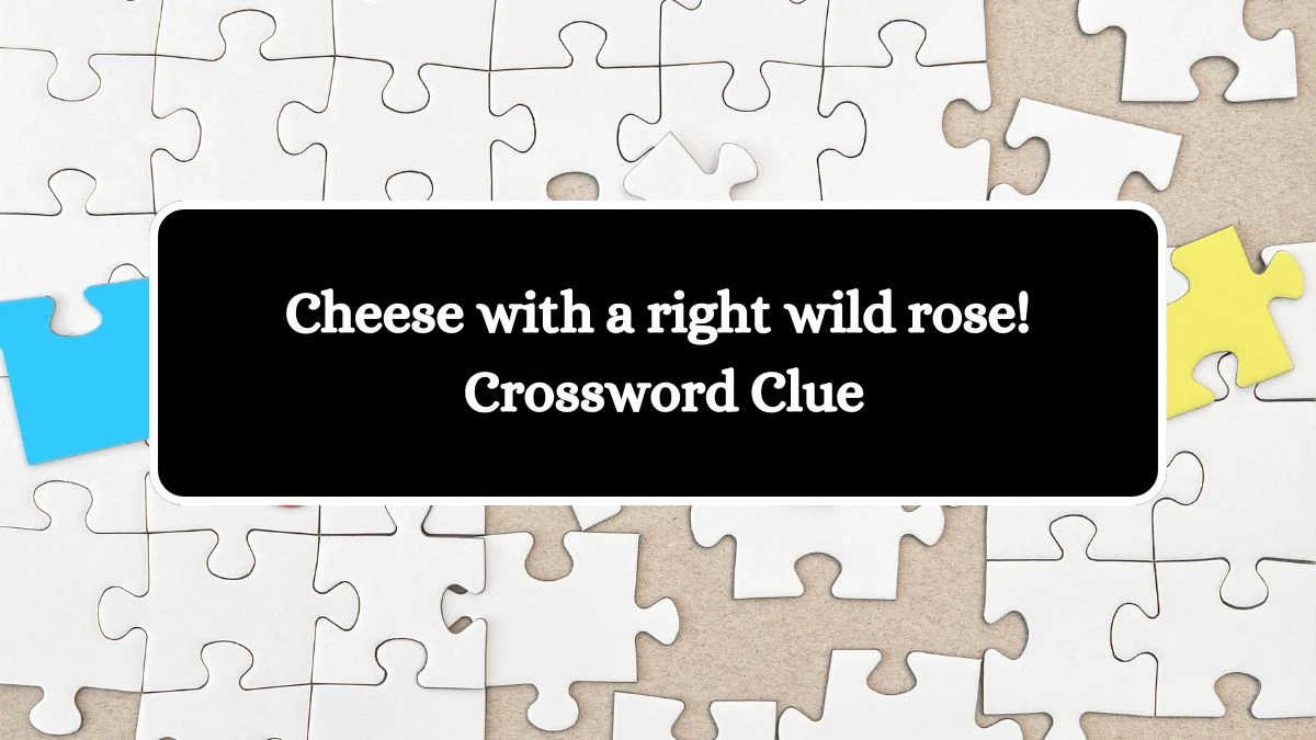 Cheese with a right wild rose! Crossword Clue Puzzle Answer from September 23, 2024