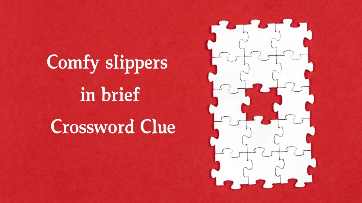 Comfy slippers in brief 7 Little Words Puzzle Answer from September 24, 2024