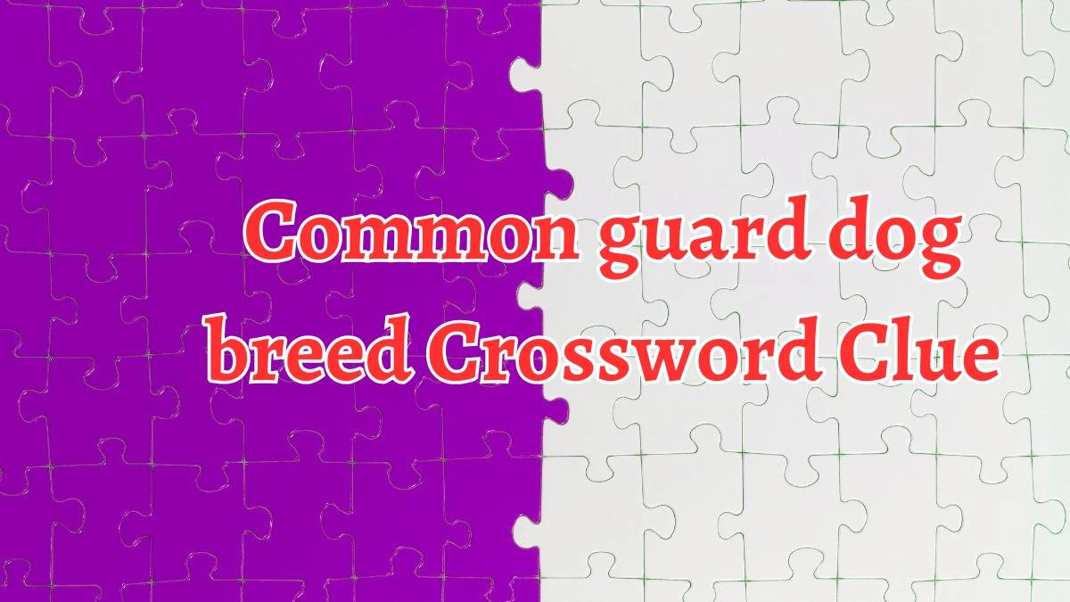 Common guard dog breed 7 Little Words Puzzle Answer from September 21, 2024