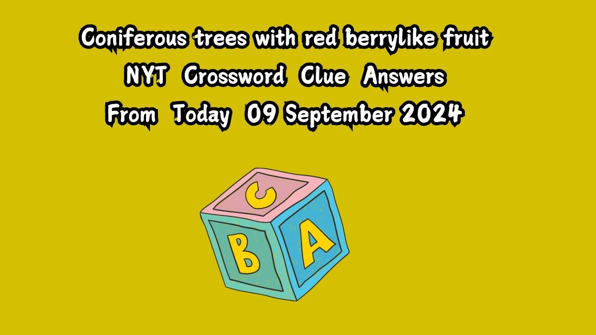 NYT Coniferous trees with red berrylike fruit Crossword Clue Puzzle Answer from September 09, 2024