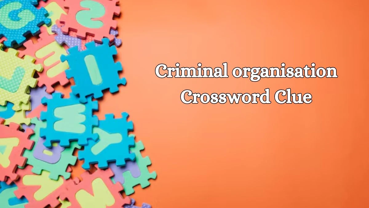 Criminal organisation Irish Daily Mail Quick Crossword Clue Puzzle Answer from September 06, 2024