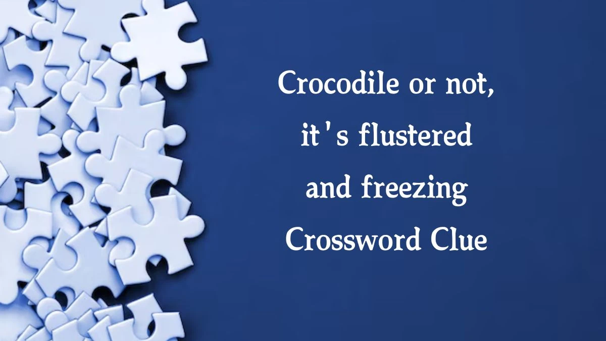 Crocodile or not, it's flustered and freezing (3,4) Crossword Clue Puzzle Answer from September 29, 2024