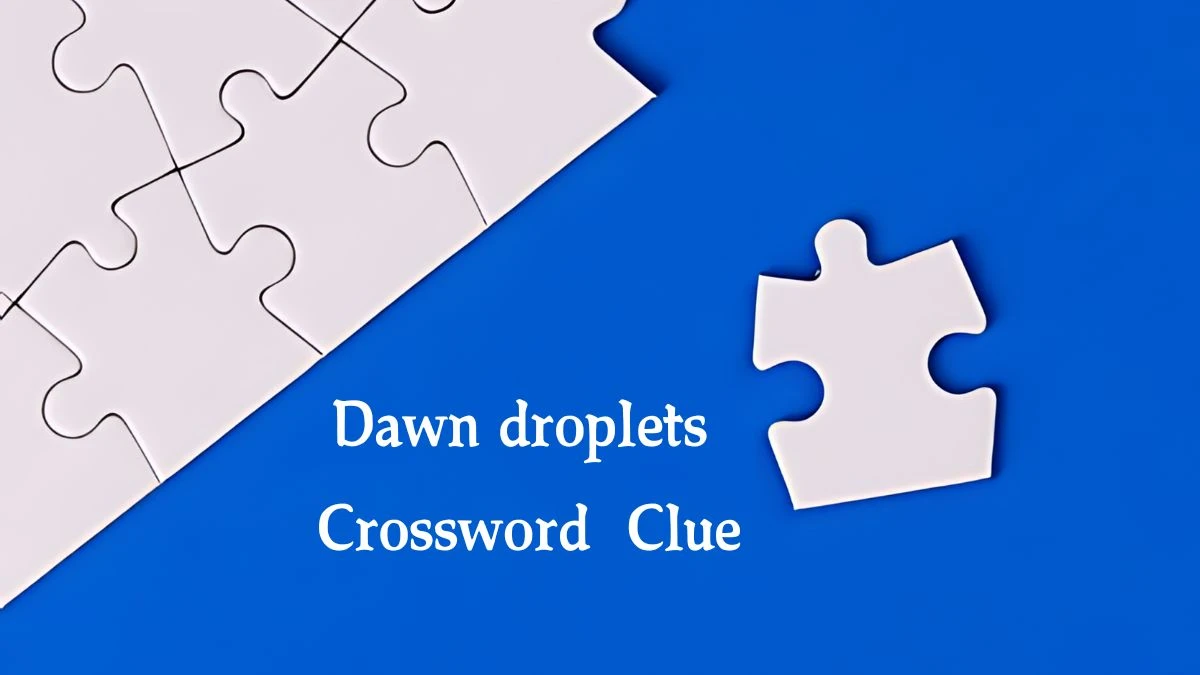 Dawn droplets NYT Crossword Clue Puzzle Answer on September 23, 2024