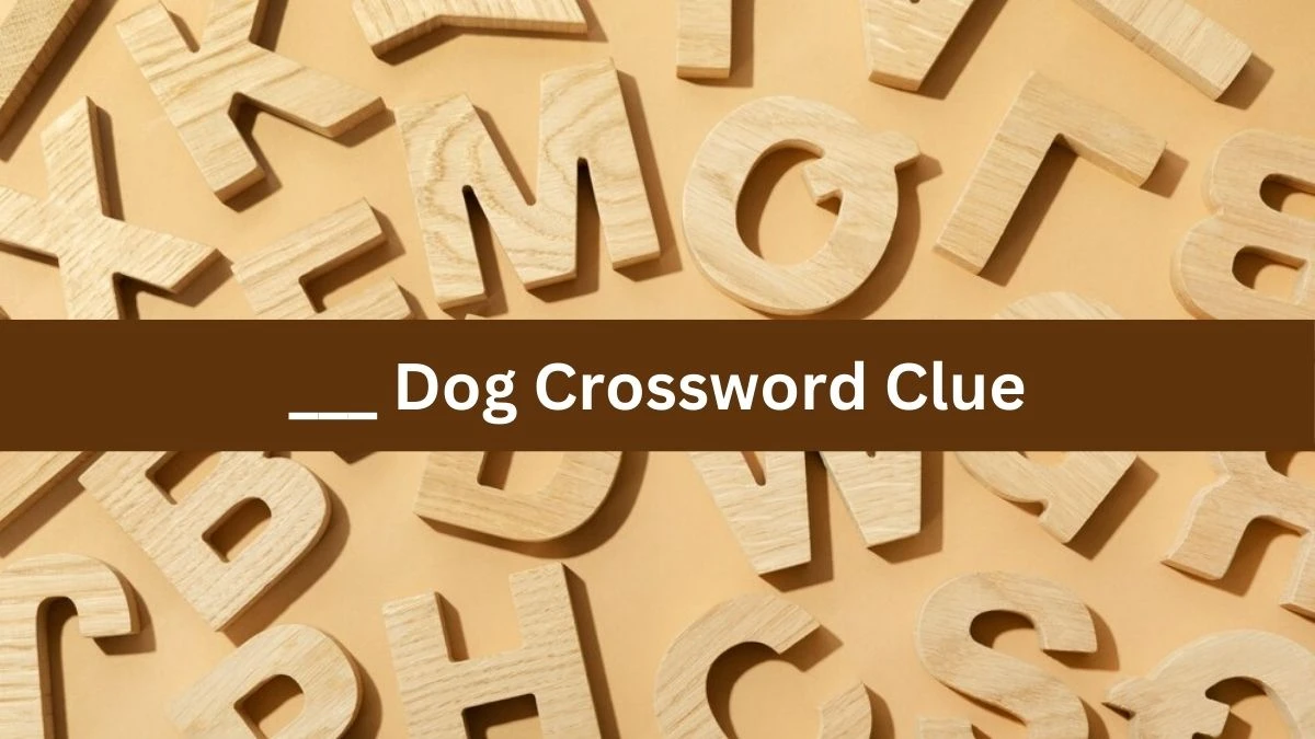 NYT ___ Dog Crossword Clue Puzzle Answer from September 13, 2024