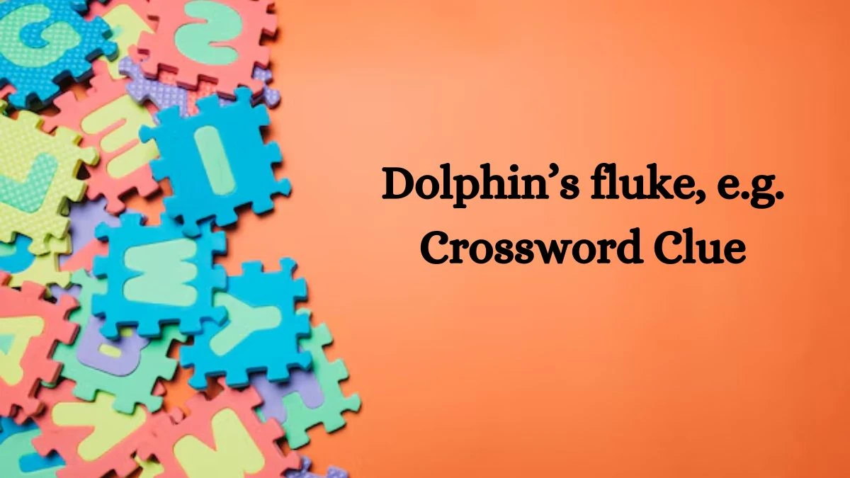 NYT Dolphin’s fluke, e.g. Crossword Clue Puzzle Answer from September 10, 2024